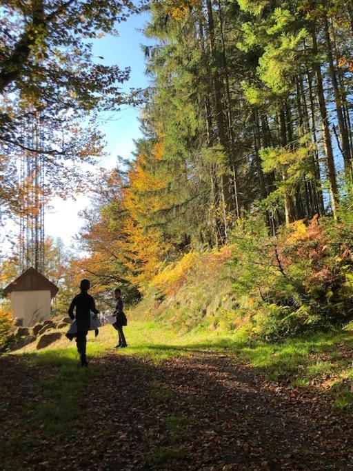 Le Chalet Des Coeurs Le Tholy Kültér fotó