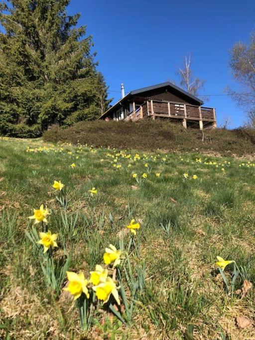 Le Chalet Des Coeurs Le Tholy Kültér fotó