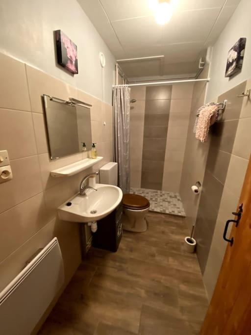 Le Chalet Des Coeurs Le Tholy Kültér fotó